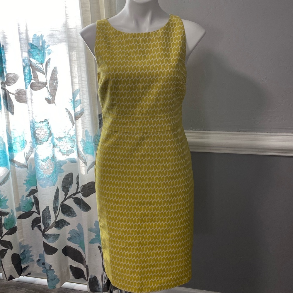 Ann Taylor Sleeveless Dress